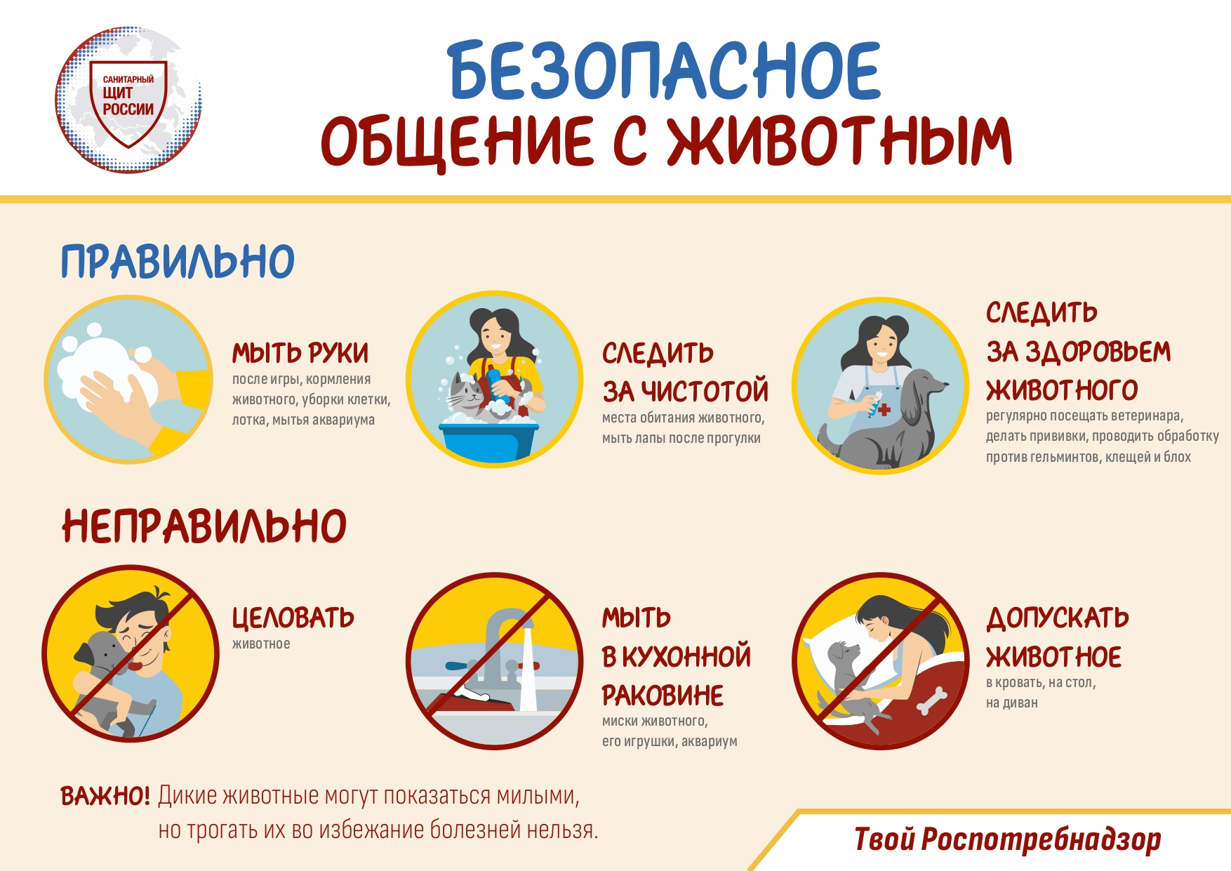 6 БЕЗОПАСНОЕ ОБЩЕНИЕ С ЖИВОТНЫМ page 0001 1